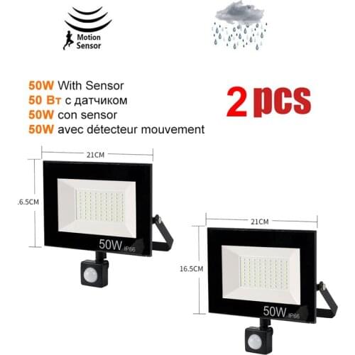 2 pcs 220V 10-100W LED FloodLight Spotlight Exterior Street wall reflector LED Light Illumination PIR Motion Sensor Wireless Lig
