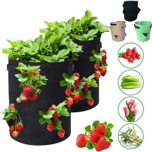 Strawberry Planting Bag Outdoor Garden Vanilla Vegetable Herb Growing Bag Seedling Multi Pocket Cloth Handle Planter