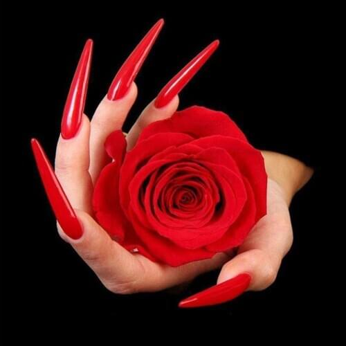 Red rose diamond painting women hands embroidery mosaic stickers diamond dotz toys rhinestone picture puzzle drawing wall decor