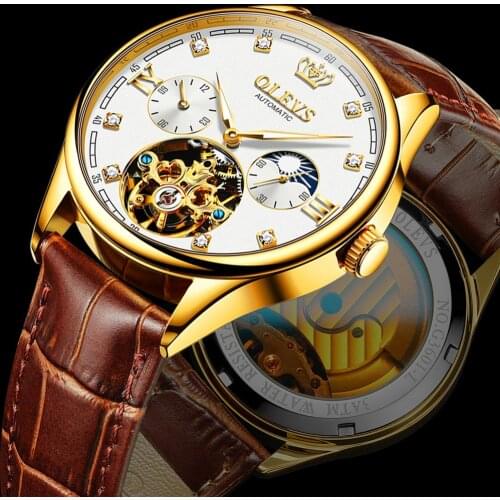 OLEVS Classic Mens Mechanical Watches Automatic Watch Tourbillon Clock Genuine Leather Waterproof Military Wristwatch