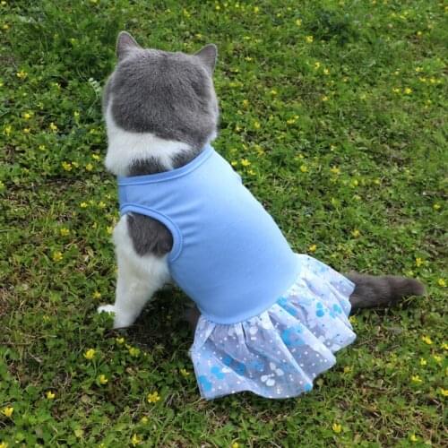 2021 New Daisy Dress Clothes For Pets Cothes Summer Dress Cat Clothes Supplies For Dogs Cats Puppy Falda De Perro