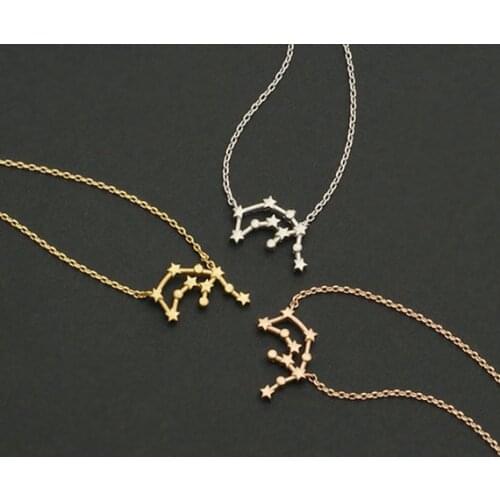 Daisies 1pcs Fashion Jewelry Zodiac Aquarius Constellation Pendant Necklace Simple Design For Women Collier
