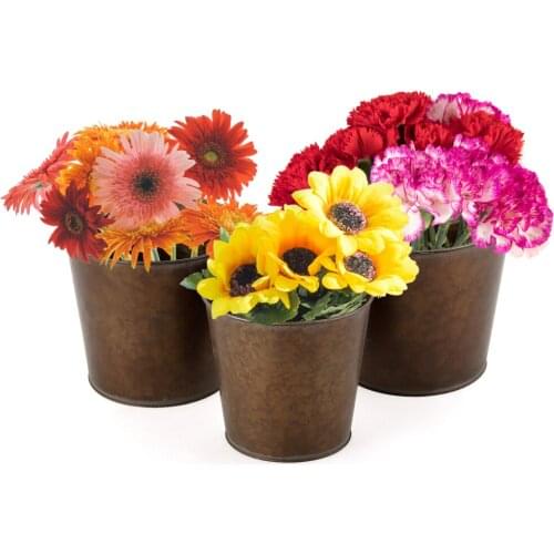 Iron Basin Flower Pot Vase New In 2021 Gardening Supplies Three-piece Suit Vintage Household Products Home Decoration Antique