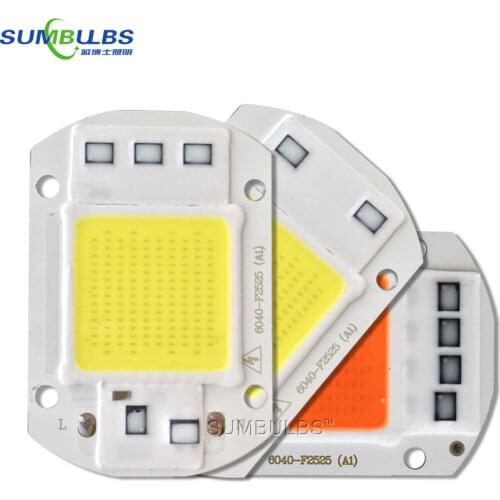 Sumbulbs AC 110V 220V COB LED Light Source 20W 30W 50W High Power Chip Smart IC for Floodlight Spotlight Warm Cold White Red