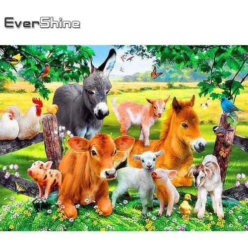Evershine Diamond Painting Kit Buttercup Diamond Mosaic Full Display Sheep Diamond Embroidery Sale Animals Rhinestones Pictures