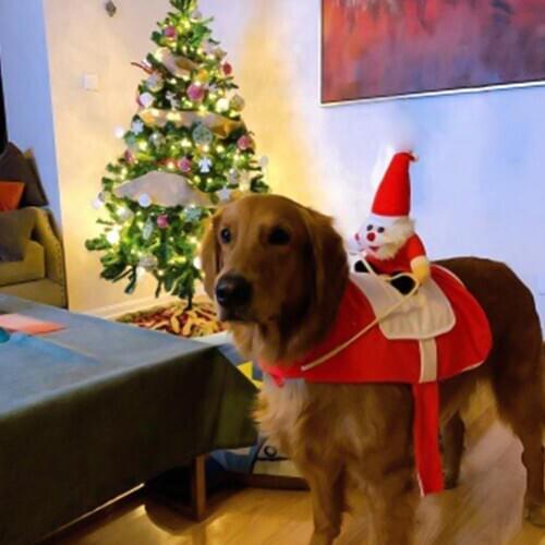 Funny Cute Fashionable Soft Warm Christmas Santa Claus Pet Dog Cat Clothes Xmas Outfit Costume Holiday Decoration