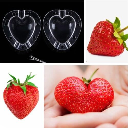Plastic Cucumber Growth Forming Mold Strawberry Growing Molds Star/Heart-shape Transparent Fruit Growing Mould for Garden Decor