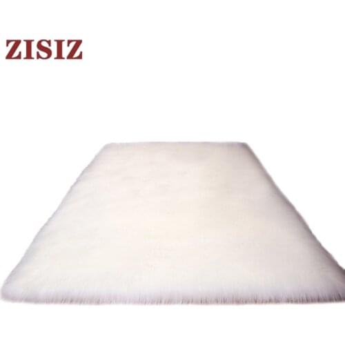 ZISIZ Fluffy Rugs For Home