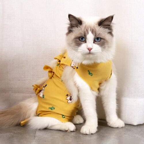 Summer Dog Clothes Pet Surgical Recovery Suits Puppy Cat Recovery Suit Kitten Sterilization Suit Surgery Rehabilitation Clothing