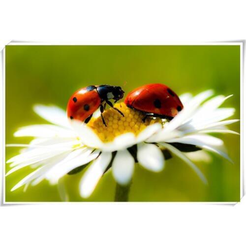 New Needlework Hobby Crafts Diamond Painting Dimond Cross Stitch Pasted Painting Full Square Drill Home Decoration The Worm Y