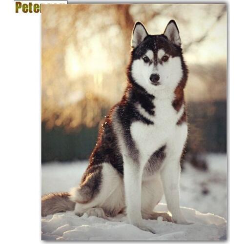 Peter ren Diy diamond painting cross stitch 5D round diamond Mosaic icon Rhinestone Full diamond embroidery In the snow Husk