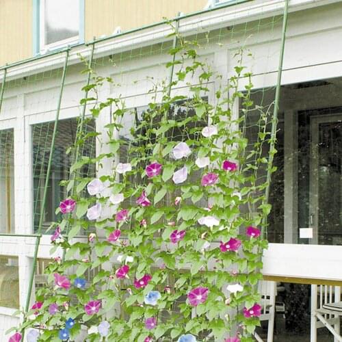Durable Vegetables Fruits Nylon Trellis Support Net for Climbing Plants Vine and Veggie Garden Tools garden net