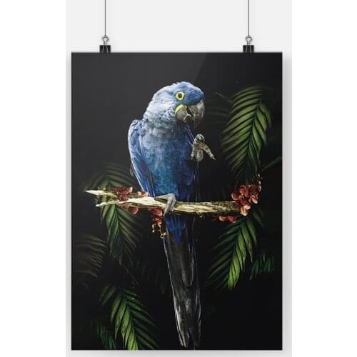 Macaw Parrot Bird Anime Poster Canvas Painting Wall Art Decor Living Room Bedroom Study Home Decoration Prints