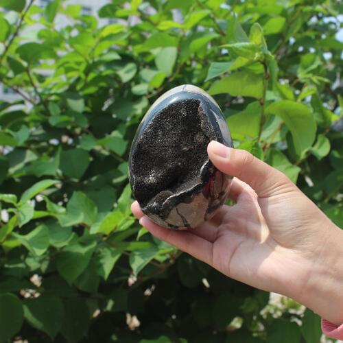 650g Natural curvature of the furnishing articles Turtle grain stone egg Ball Septarian nodule Fossil Crystal Healing quartz 53