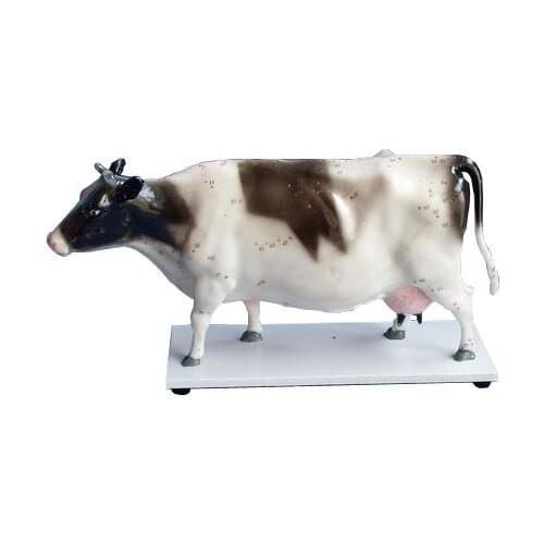 Cattle model mini milk cow acupuncture point model model animal Anatomical model