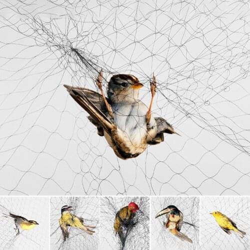 20M Durable Black Nylon Anti Bird Net Mesh Prevent Hunting Catching Garden Tools Vegetable Farm Orchard Vineyard Protecting Net