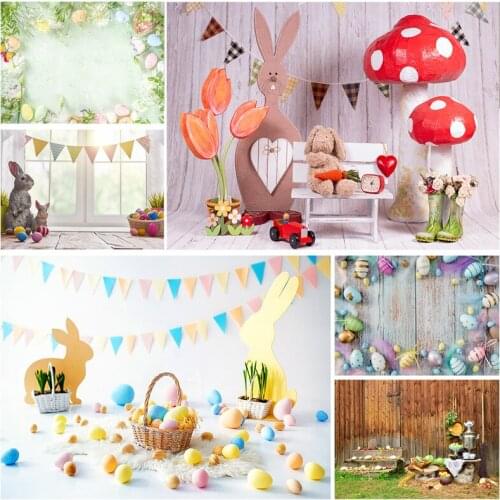 Easter Eggs Rabbit Photography Backdrops Photo Studio Props Spring Flowers Child Baby Portrait Photo Backdrops 21318FH-37