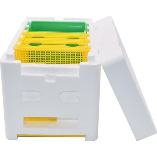 Bee Hive Mini Mating Box Removable Feeder Mating Beehive with Plastic Frames Beekeeping Pollination Box Nuc Beehive