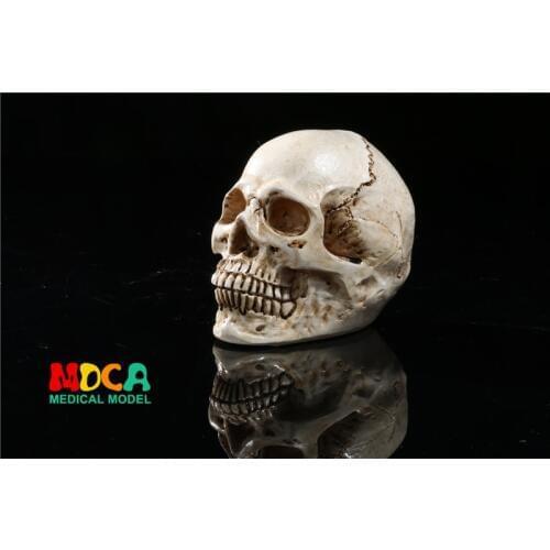 Resin skull Halloween gifts personal ornaments home accessories GXGT012