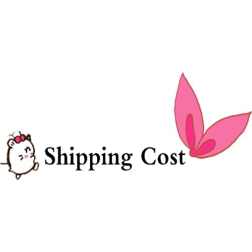 0.69 USD Shipping Cost for Customers