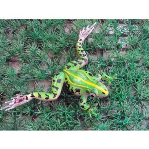 Artificial animal insect model Frog Toad bird ornaments decoration style statue