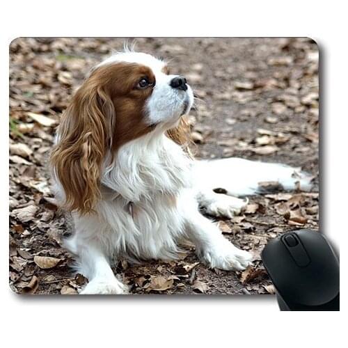 Dog Lover Mouse Pad,Dog Small Purebred Dog,dogs mouse mat