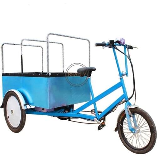 Street Goods Delivery Tricycle Electric Cargo Bike Hotel Baggage Transport Cart for Sale
