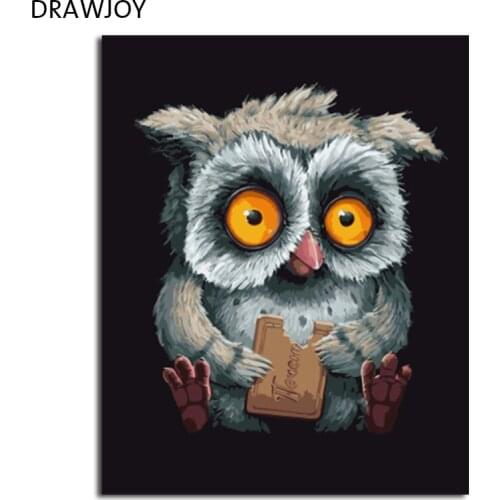 DRAWJOY Framed DIY Oil Paint DIY Painting By Numbers Coloring By Numbers Animals Owl Home Decoration