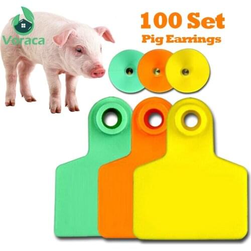 100 Set Pig Ear Signage Copper Head Earrings Identification Cards without Number Animal Identification Poultry Cards Tool