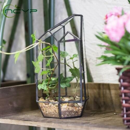 NCYP Glass Flower Pot for Succulents Flowerpot Glass Geometric Terrarium for Home Office Garden Decor Flowerpot with Door