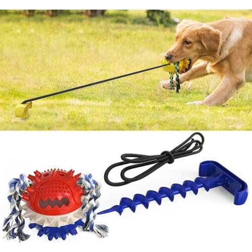 Dog Chew Toys Bite Squeaky Rope Ball Toy Teeth Cleaning Pet Supplies for Small Medium Dogs TS2 Tug-of-war rope