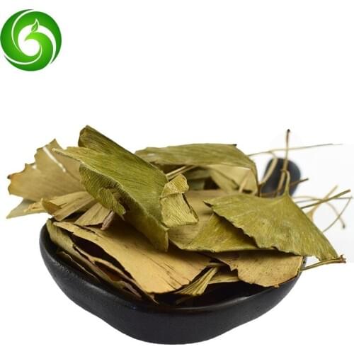FOLIUM Ginkgo, Ginkgo Biloba Leaf,Yinxingye Carefully Selected High Quality Dried Ginkgo Biloba Leaves