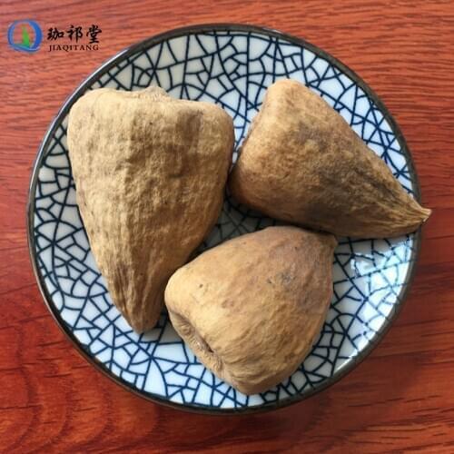 Ficus Pumila L. Mu Man Tou