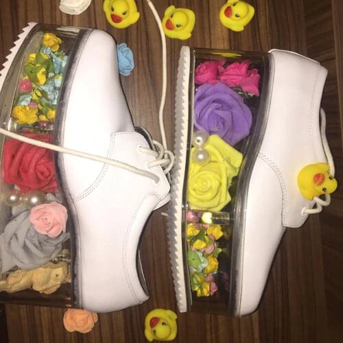 Girls Spring Transparent Fretwork Thick Platform Casual Shoes Ladies Women Container Sole Lace up Street Lucency Stylish Shoes