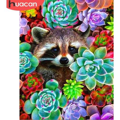 HUACAN Painting By Number Raccoon Animal Kits For Adults Handpainted DIY Picture By Number Succulent Plants On Canvas Home Decor