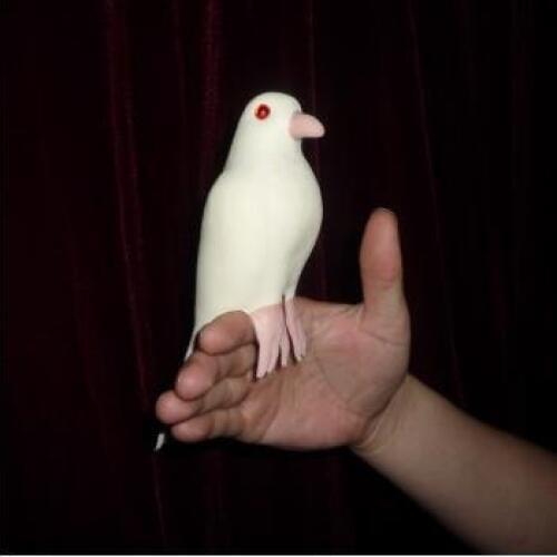 Dynamic Latex Dove,Mentalism,Stage Magic Tricks,Illusions,Close-Up,Comdy,Street,Magia Toys,Joke,gadget,Classic Magie,Accessories
