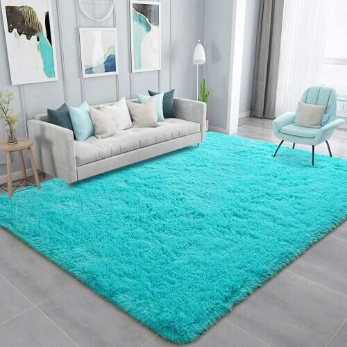 Soft Fluffy Area Rug Fluffy Living Room Carpet Modern Shaggy Area Rug for Bedroom Home Decor Carpet Large Indoor Mat for Girls