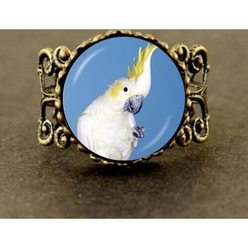 2017 New Vintage Parrot Ring Glass Dome Ring Bird Photo Jewelry Long For Women