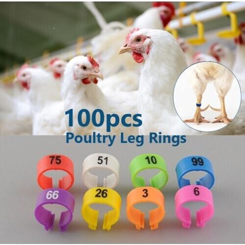 One set of 1-100 Numbered 10.5mm Poultry Leg Rings Bird Pigeon Parrot Duck Hen Rings Clip Bird Foot Ring Pigeon Pet Product