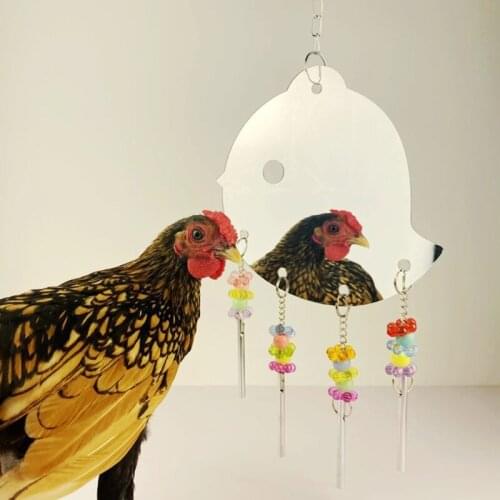 Chicken Mirror Toys with Color Bells Rings for Hens Chicks Roosters Hanging Swing Large Acrylic Mirror Toy for Parrot Birds