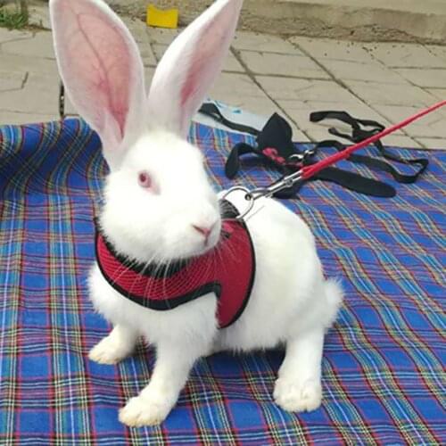Pet Rabbit Soft Harness Leash Adjustable Bunny Traction Rope for Running Walking WXV Sale