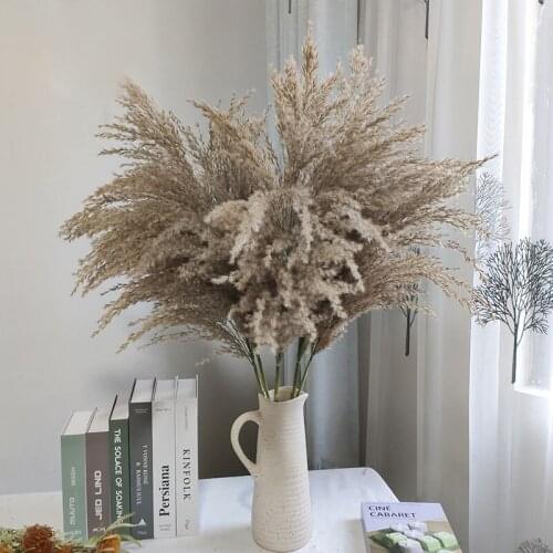 Pampas Grass Natural Dried Flower Artificial Plants Garden And Yard Decor Wedding Decoratio Photo Shoot Props Gazebos Decorate