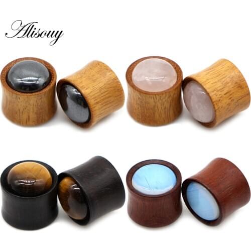 Alisouy 2pcs Inlay Stone Wood Retro Ear Tunnel Plug Flesh Gauges Earrings Double Flared Expender Stretcher Body Piercing Jewelry