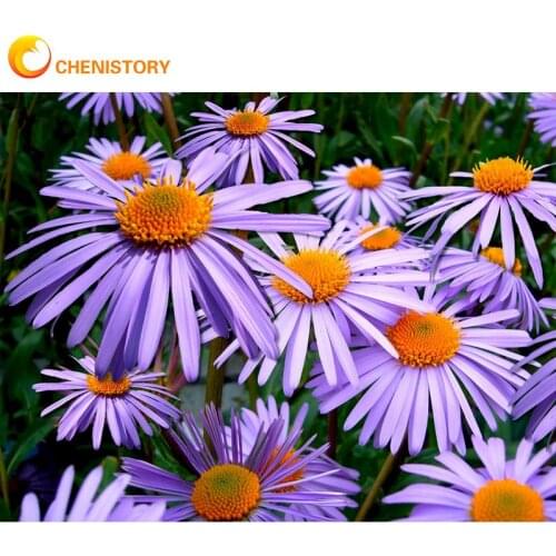 CHENISTORY 60x75cm Frameless Painting By Numbers For Adults Beginner Purple Flower Oil Paints By Number Modern Home Wall Art