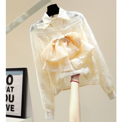 Hollow Bow Embroidered Long Sleeve Shirt Women 2021 Spring Korean Style Solid Color Micro Transparent Chiffon Pullover Blouse