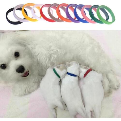 Behogar Collars, Harnesses And Leashes