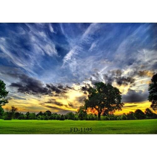 Sky Tree Grass Photographic Backdrop for Photo Shoot Props Children Kids Baby Vinyl Cloth Photographic Background Photo Studio