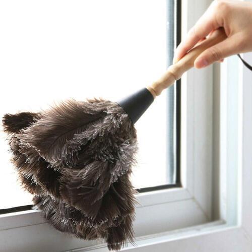 Ostrich Feather Dusters Mini Dust Duster Ostrich Soft Delicate Comfortable Touch Feather Duster #SW