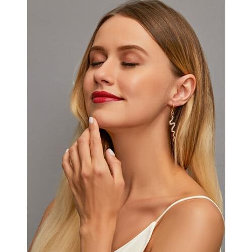 Modyle Trendy Snake Shape Dangle Earrings for Women Girl Drop Earrings Cute Small Object Earring Jewelry Bijoux