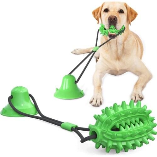 Pet Dog Chewing Teeth Stick Toothbrush Toys Single Sucker Cactus Creative